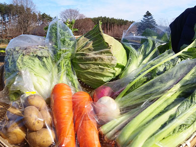 産直野菜