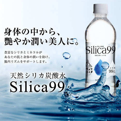 Silica99 (天然炭酸水）24本入り