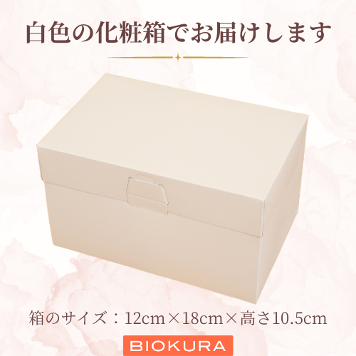 米粉のティラミス（カット済）