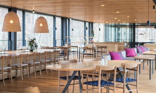 アルソア女神の森 奏樹