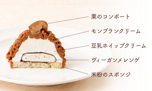 断面画像
