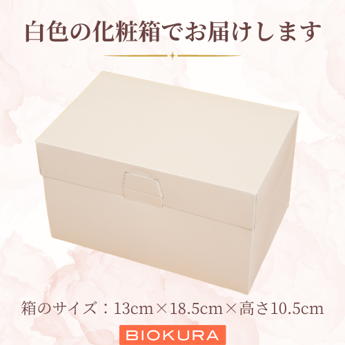 【秋冬限定】プティ・モンブラン 4個セット