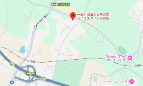 Googleマップ