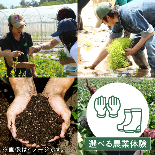 BIOKURAメンバーシップ