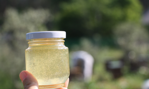 加工品イメージ