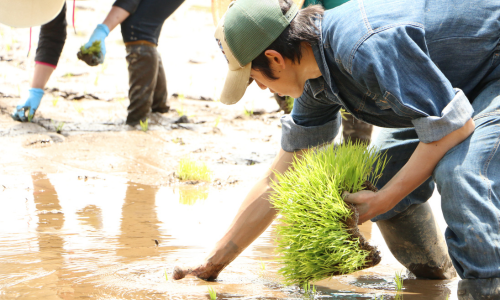 農業体験イメージ