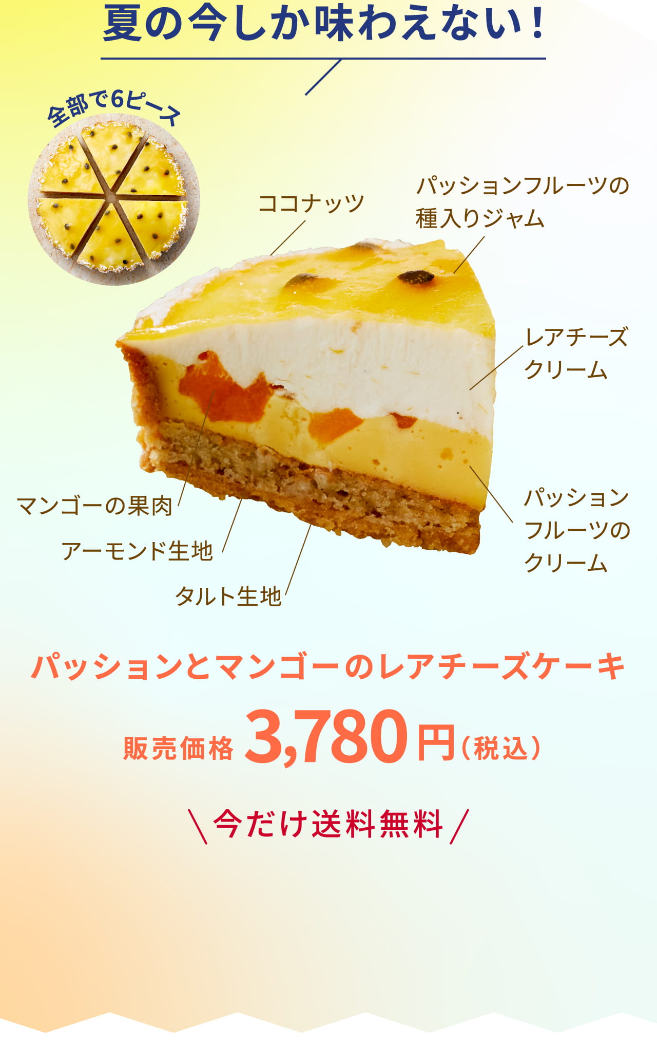 夏の今しか味わえない！ パッションとマンゴーのレアチーズケーキ 販売価格3,780円（税込）
