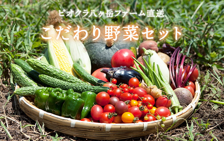 ビオクラ八ヶ岳ファーム直送野菜